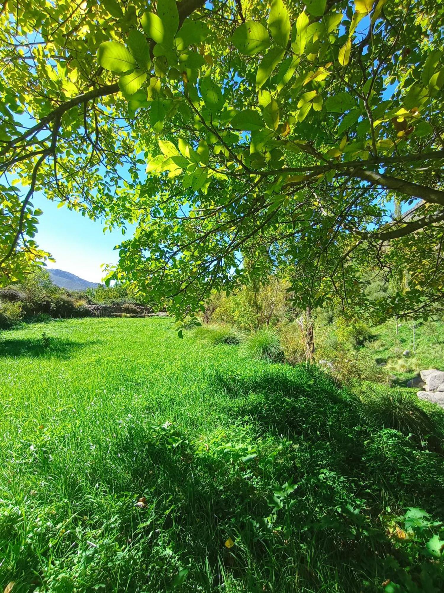 Gite Ogog Tacheddirt Εξωτερικό φωτογραφία